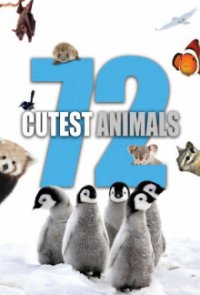 Cover 72 Cutest Animals, 72 Cutest Animals