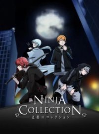 Ninja Collection Cover, Poster, Ninja Collection