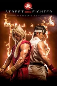 Street Fighter: Assassin's Fist Cover, Poster, Street Fighter: Assassin's Fist
