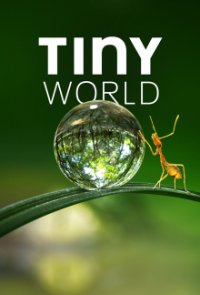 Tiny World Cover, Poster, Tiny World