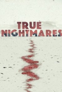 True Nightmares Cover, Poster, True Nightmares